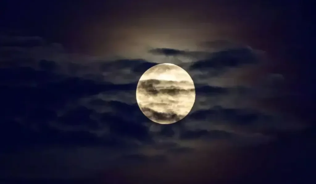 Paush Amavasya details